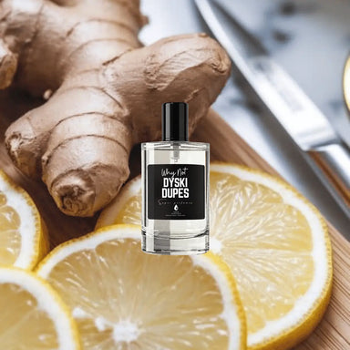 Why Not – Inspirado en Y